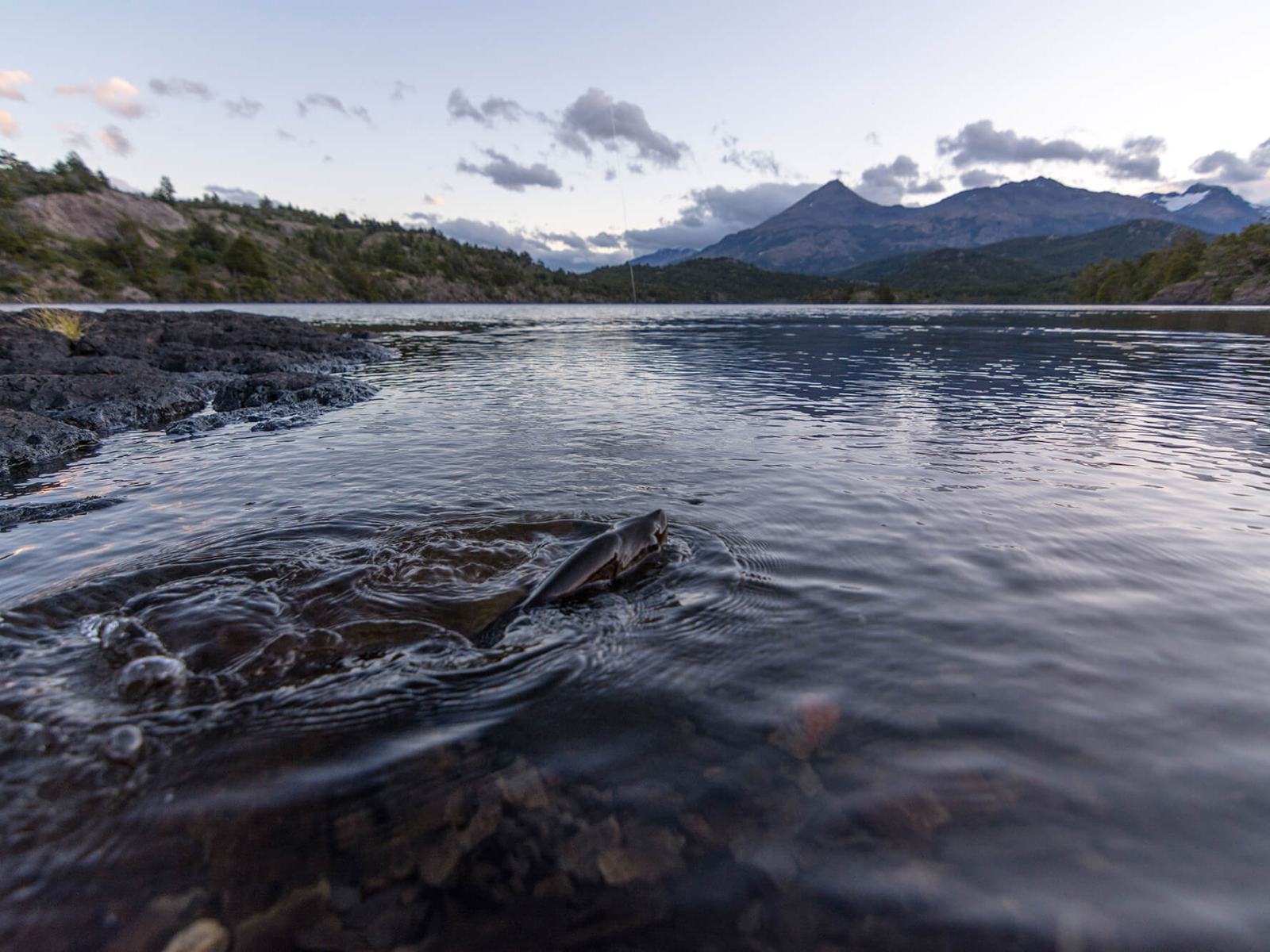 fly fishing 03