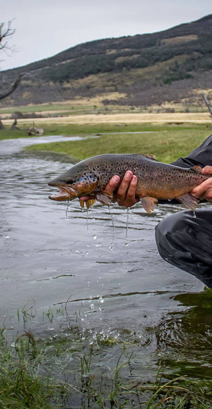 fly fishing 06