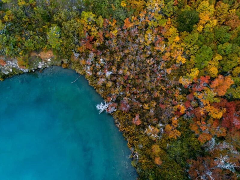 nature-teraphy-03