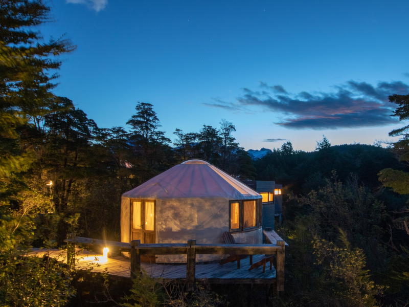 Yurt y bosque