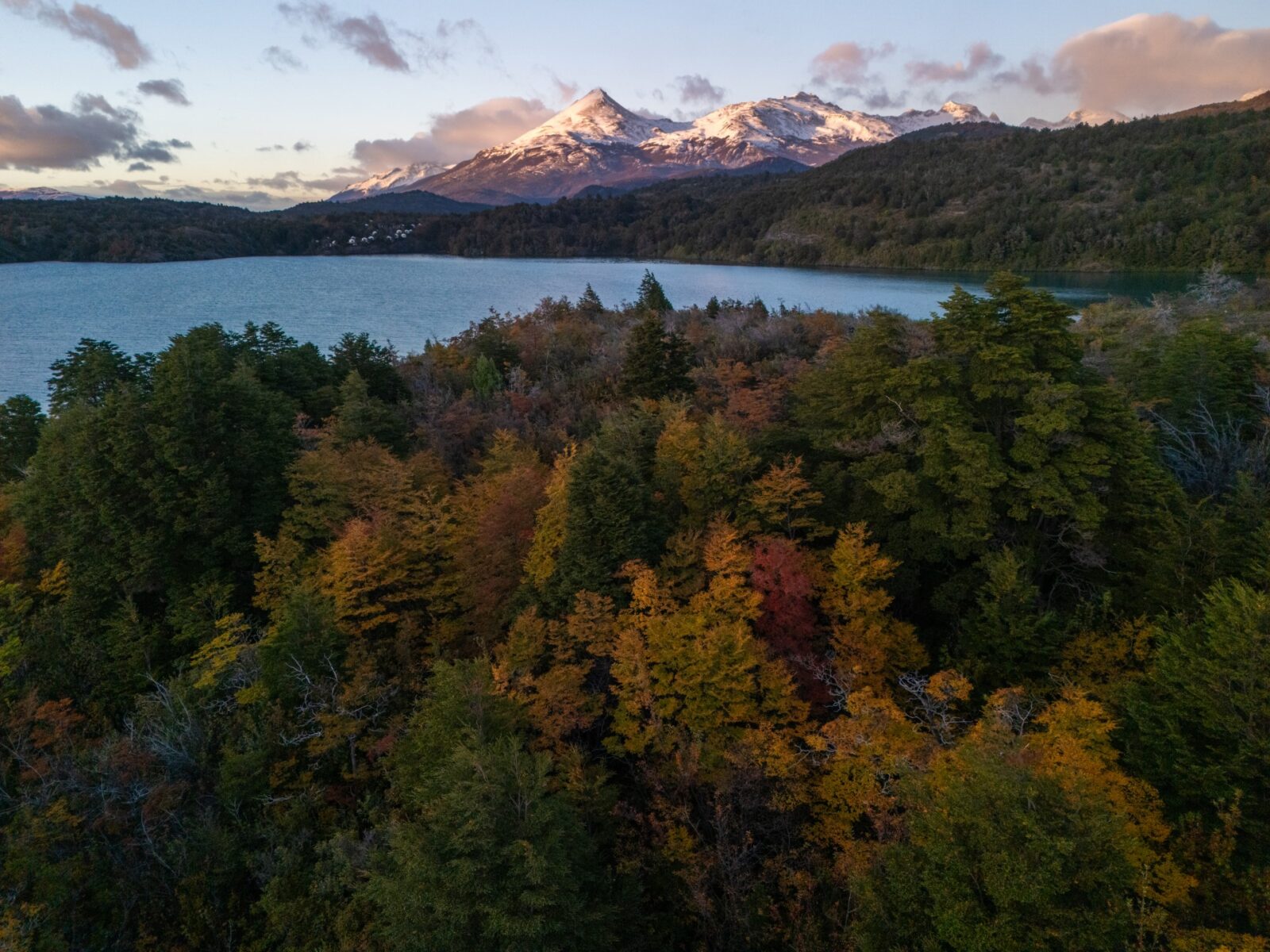 entorno - bosque