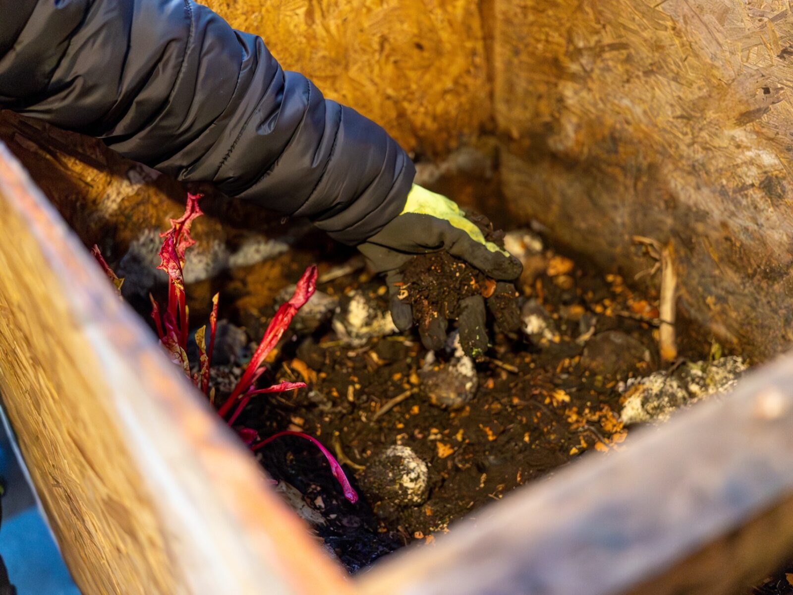 compost