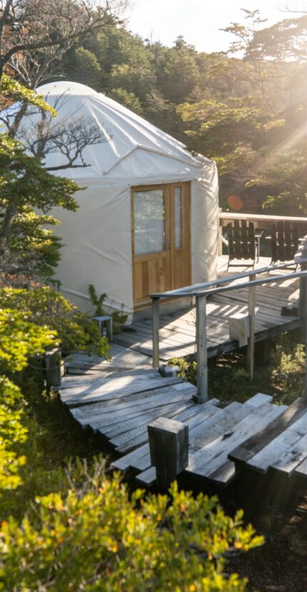 Yurt bosque